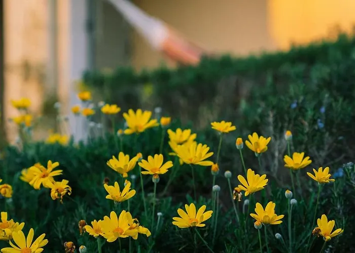 Villa A2 Countryside Corfu