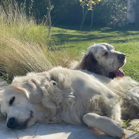 A2 Countryside Corfu Villa