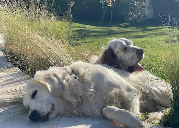 A2 Countryside Corfu Вилла