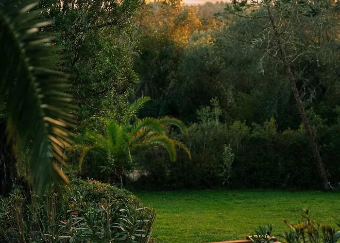 Villa A2 Countryside Corfu Kouramaditika