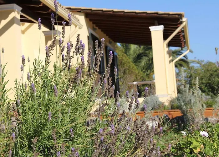 A2 Countryside Corfu וילה