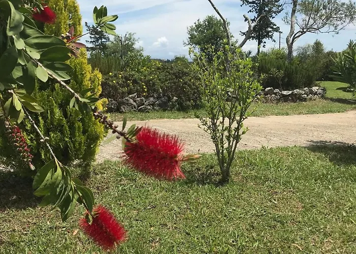 A2 Countryside Corfu Kouramaditika