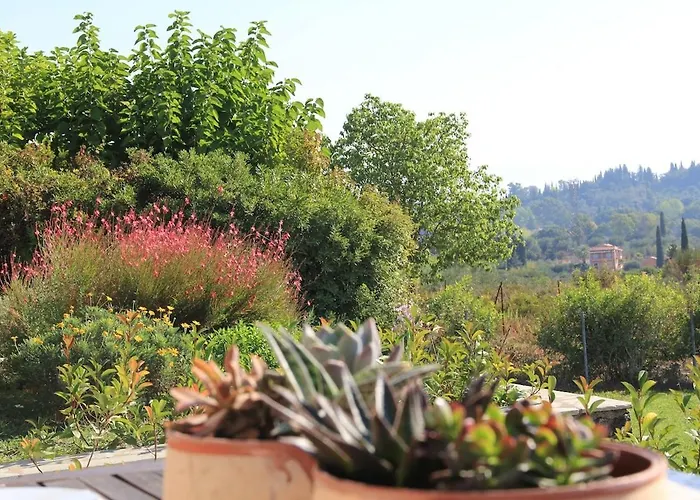 A2 Countryside Corfu *