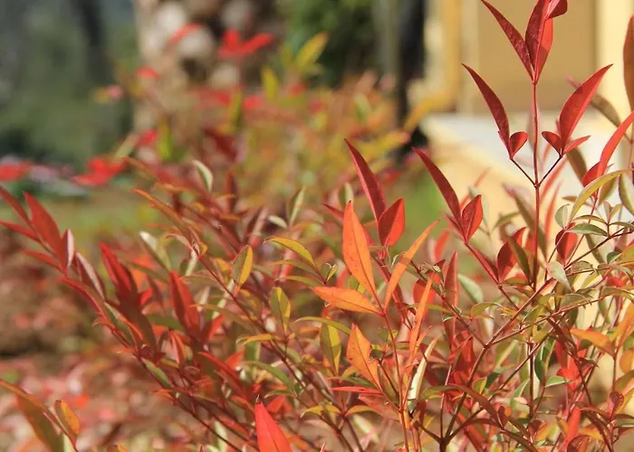 Villa A2 Countryside Corfu *