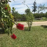 A2 Countryside Corfu Kouramaditika
