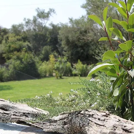 A2 Countryside Corfu Villa