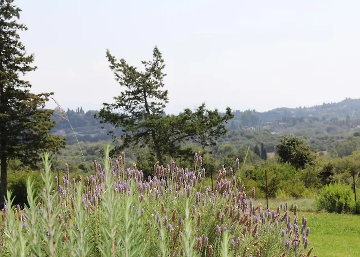 A2 Countryside Corfu 别墅 Kouramaditika